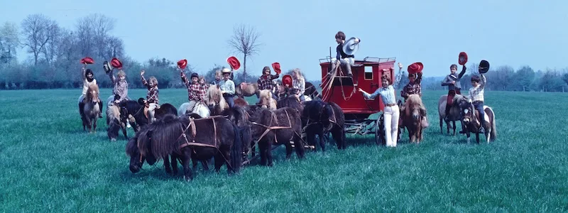 La diligence devant le château