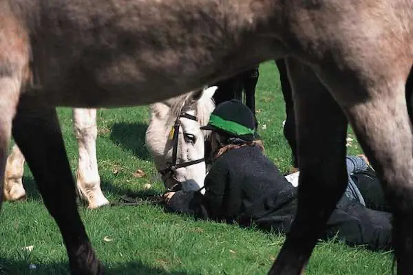 Intimité avec son poney