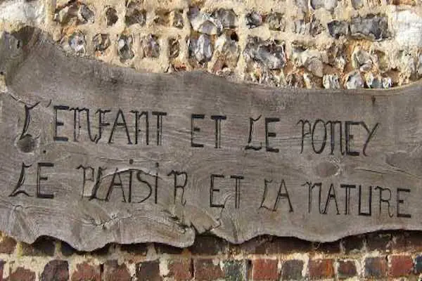 L'enfant et le poney : le plaisir et le nature