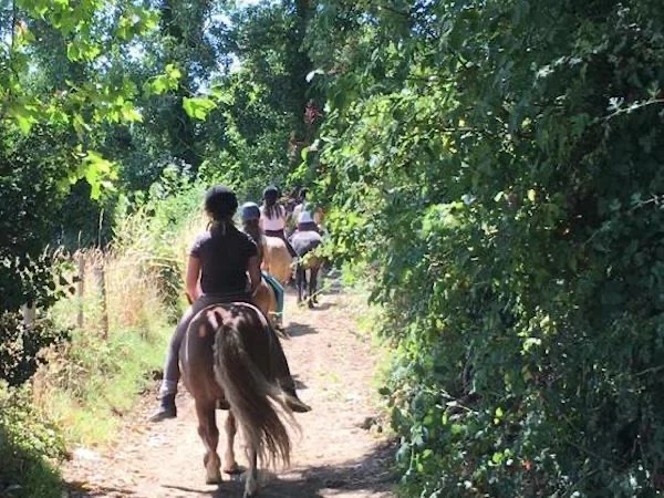 Promenade à poney