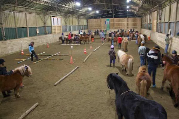 Jeux à poney en manège