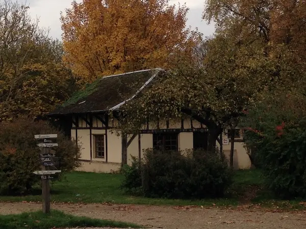photo2