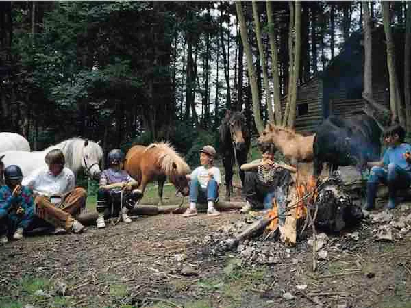 le poney un compagnon pour vivre en pleine nature
