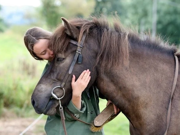 relation affective de l'ado avec son poney
