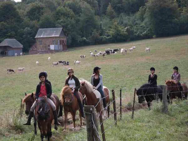 Stage équestre pour adolescent avec randonnée dans le bocage normand