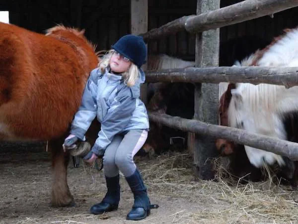 je prends soins de mon poney