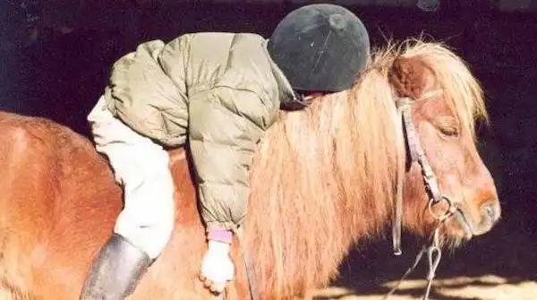 enfant endormi sur son poney