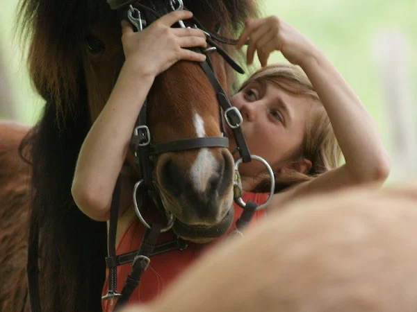 Je retrouve mon poney