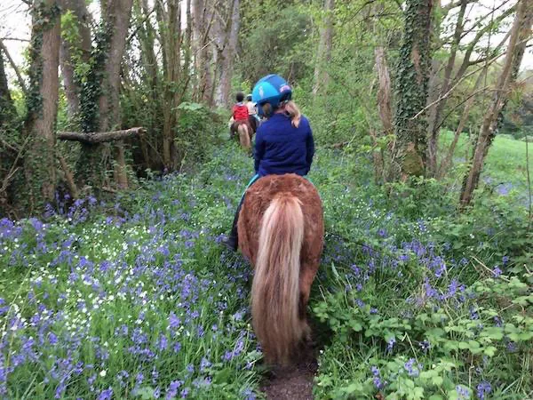 Mon poney m'emmène dans les sous-bois