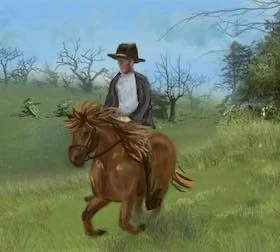 Poney nature